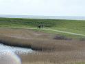 17 door polder Zandkes